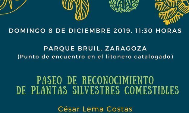 Paseo de reconocimiento de plantas silvestres comestibles