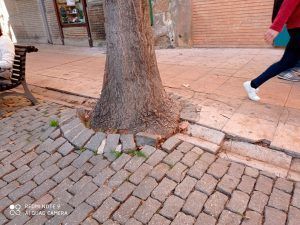 Plazas de Primera Bruil