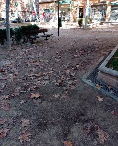 Plazas de Primera Bruil